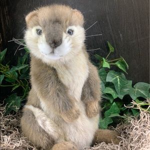 Meet your Posher, Ilakiya